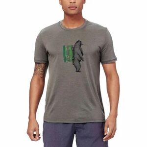 Icebreaker Merino Wool Bear With Backpack Tee S